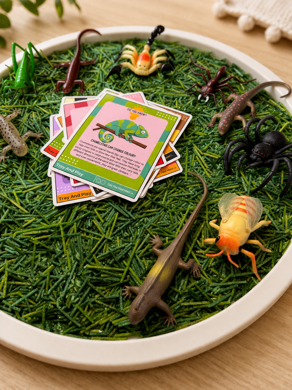 Reptile & Insect Sensory Play Kit