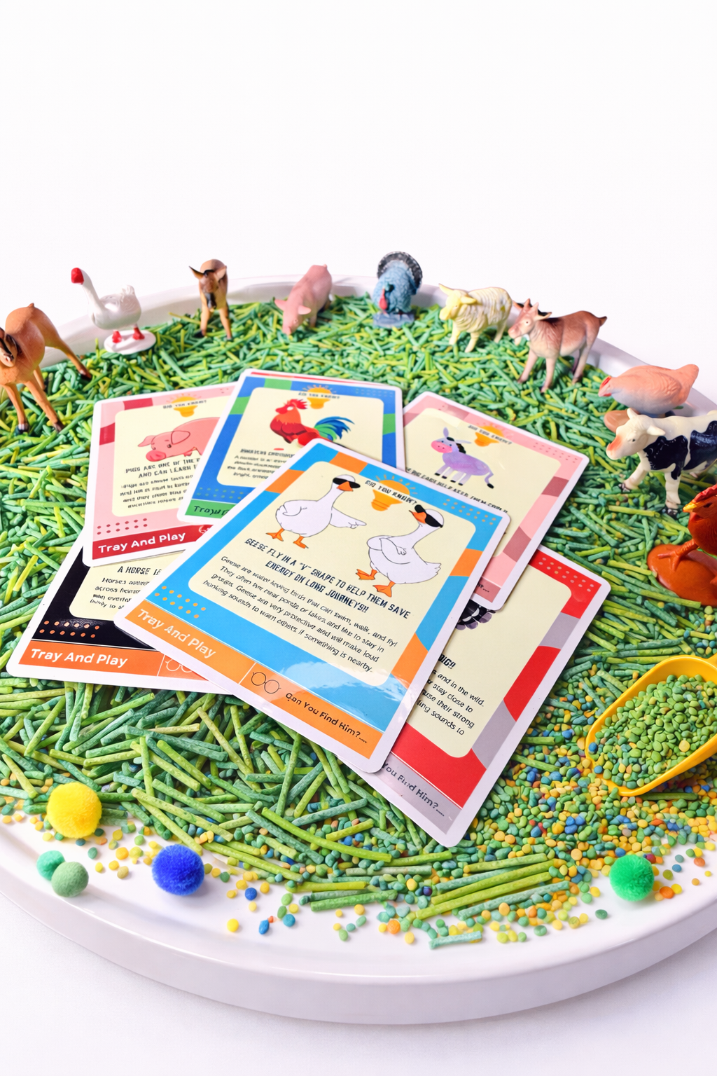 Farm & Animal Sensory Play Kit