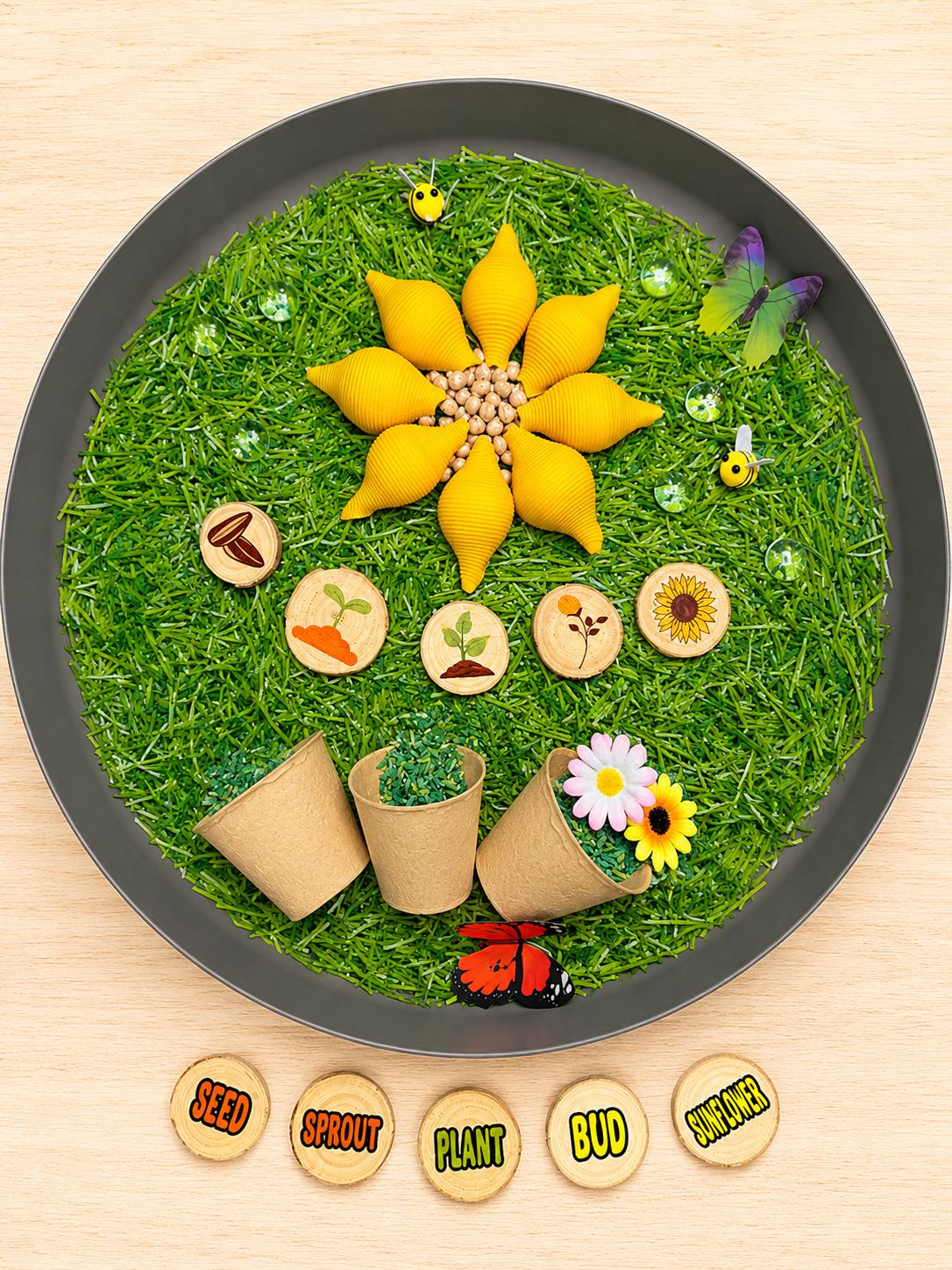 Educational display of a flower's life cycle on a grassy surface with labeled stages.