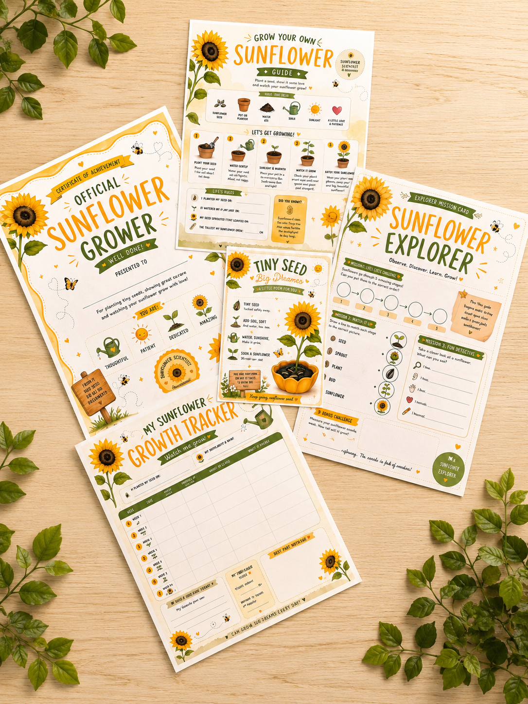 Set of sunflower growing guides on a wooden surface with green leaves.