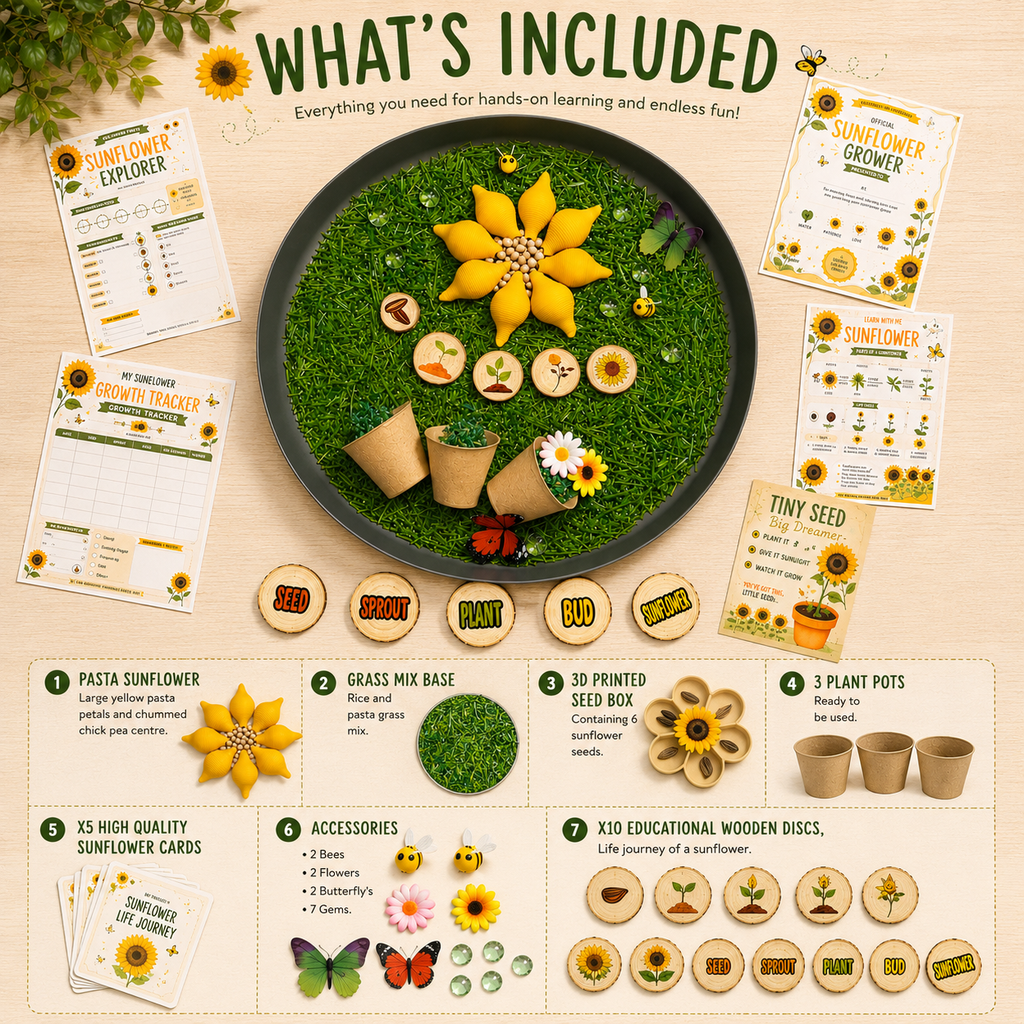 Sunflower Life Cycle Sensory Play Kit