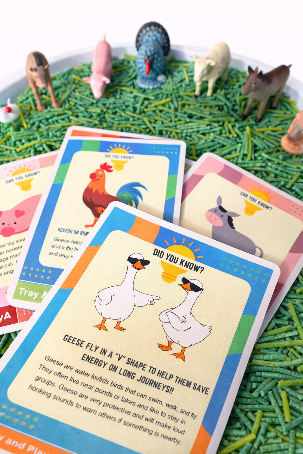 Farm & Animal Sensory Play Kit