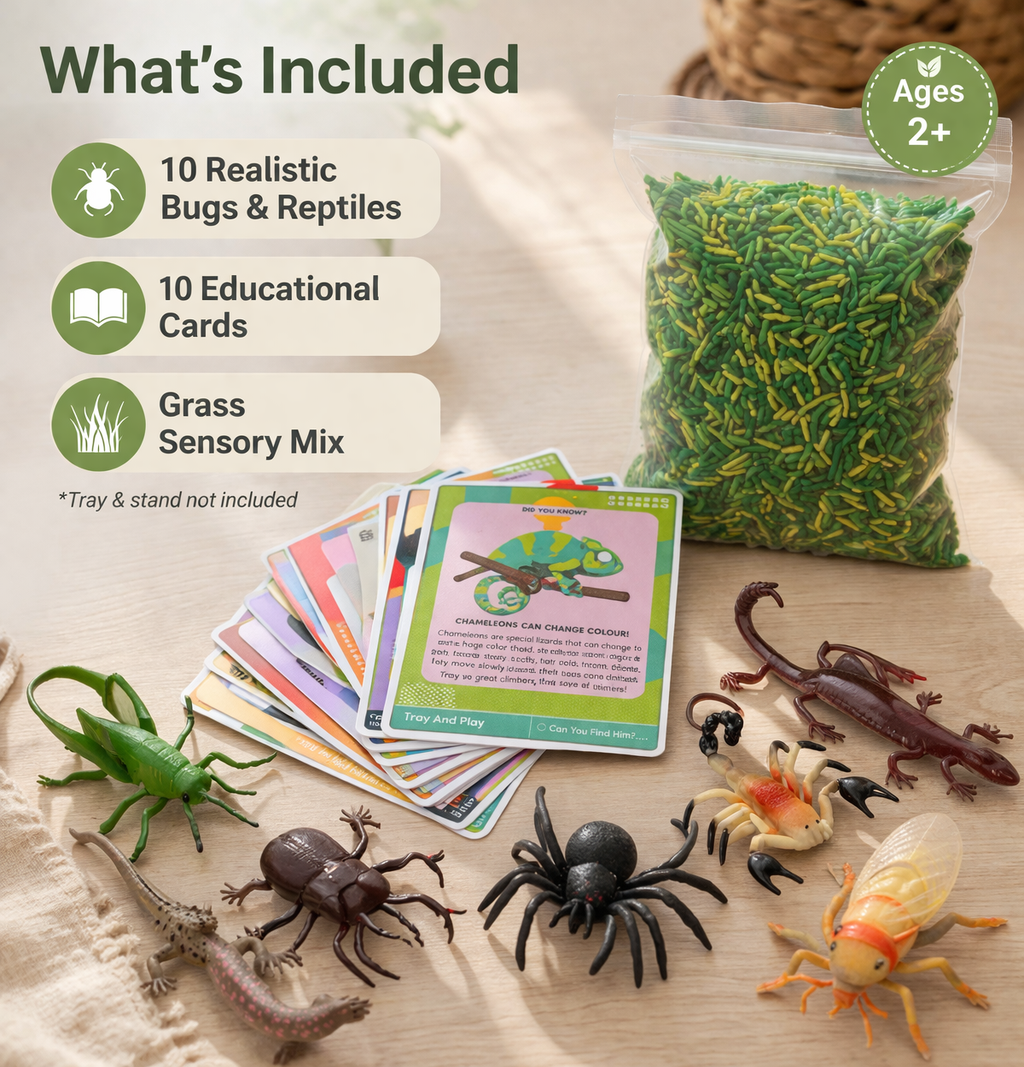 Reptile & Insect Sensory Play Kit