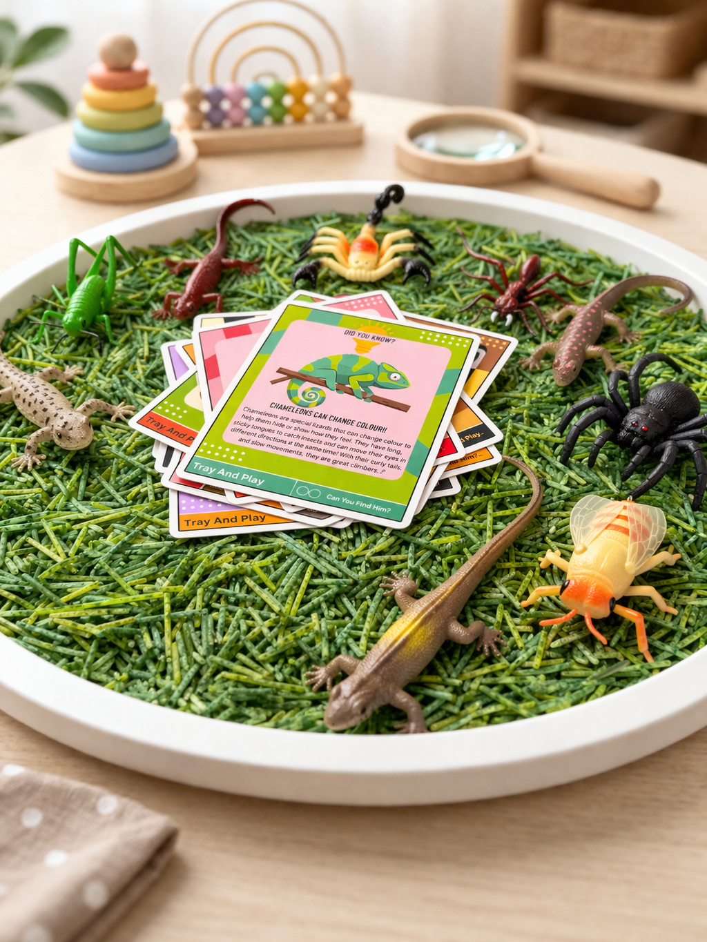 Reptile & Insect Sensory Play Kit