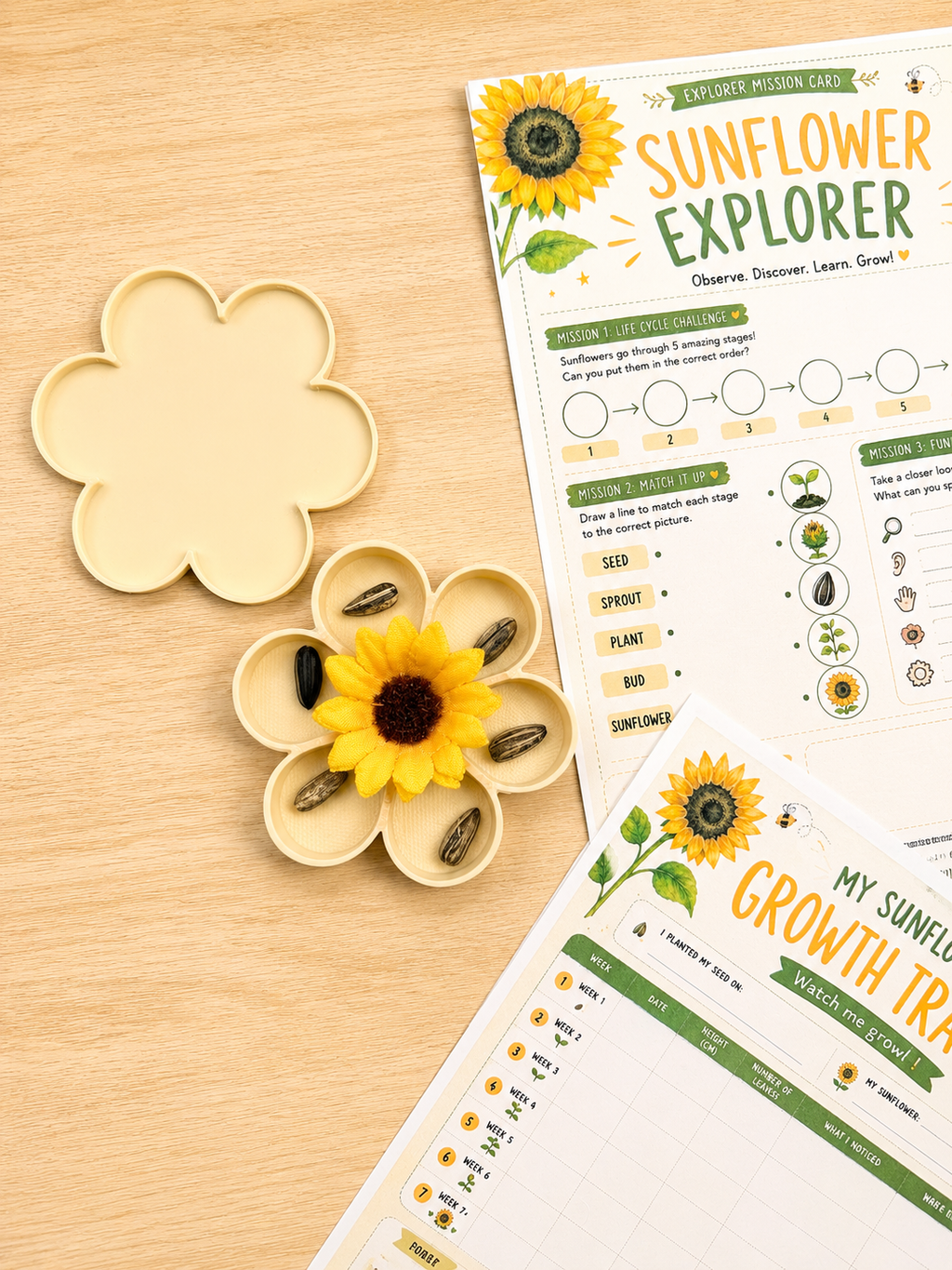 Sunflower Life Cycle Sensory Play Kit
