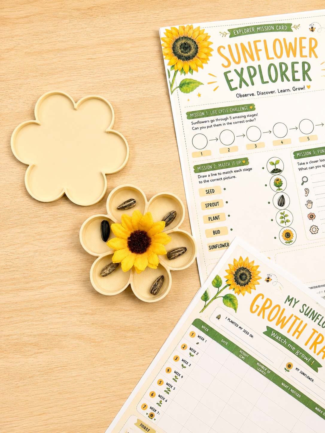 Sunflower Life Cycle Sensory Play Kit