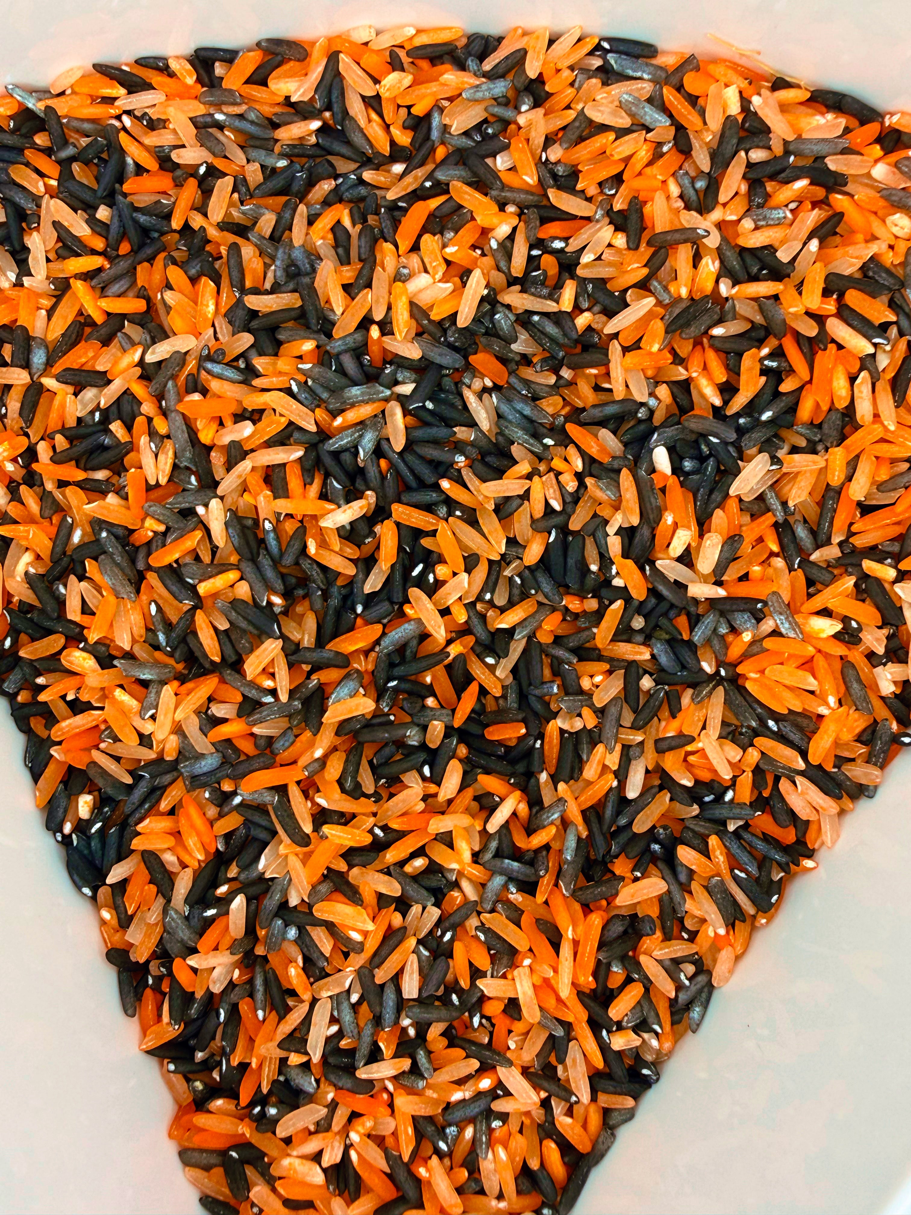 Pumpkin Sensory Bin Filler