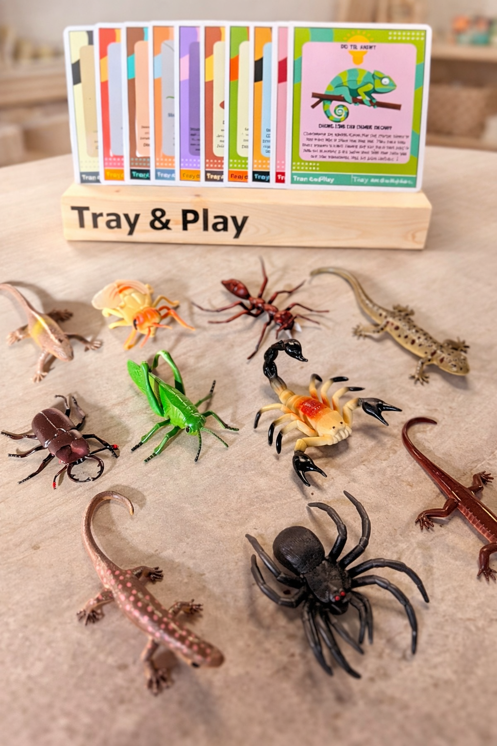 Reptile & Insect Sensory Play Kit