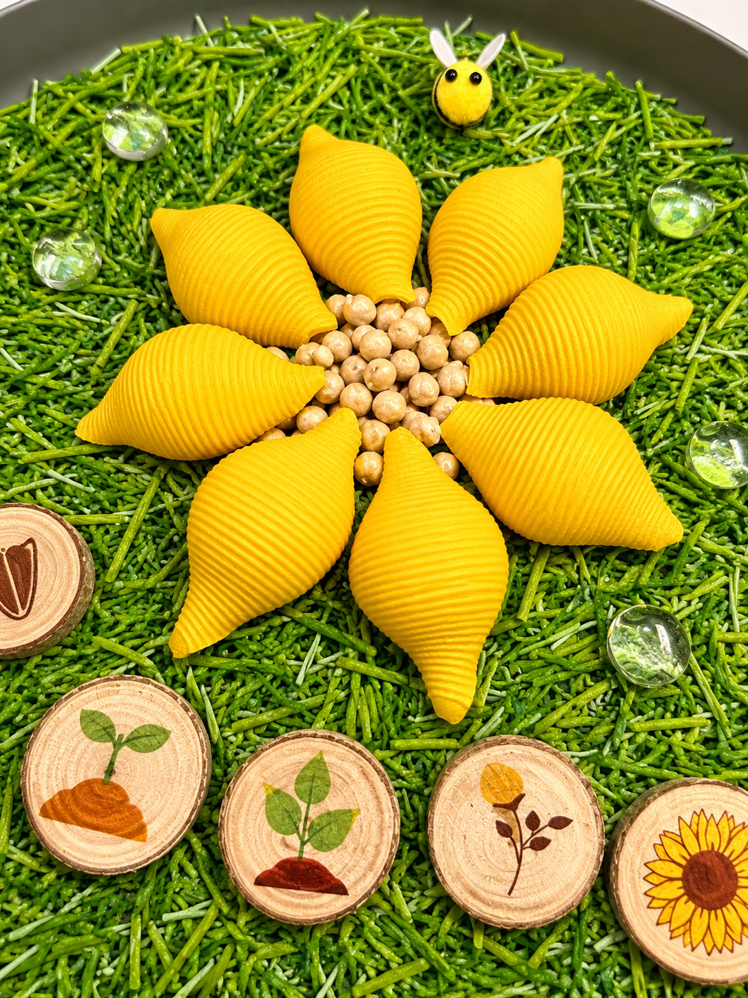 Sunflower Life Cycle Sensory Play Kit