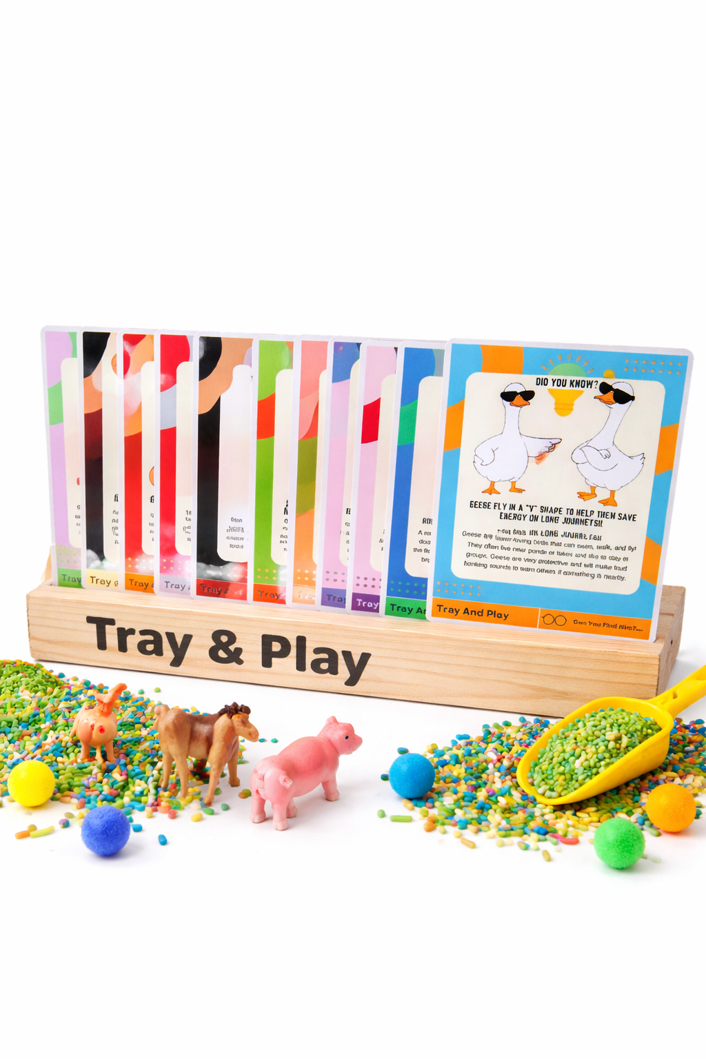 Farm & Animal Sensory Play Kit