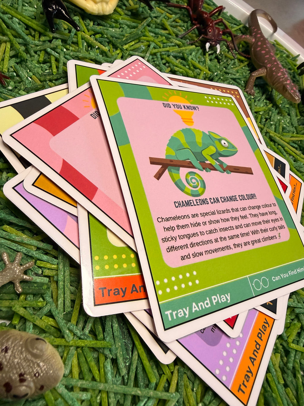 Reptile & Insect Sensory Play Kit