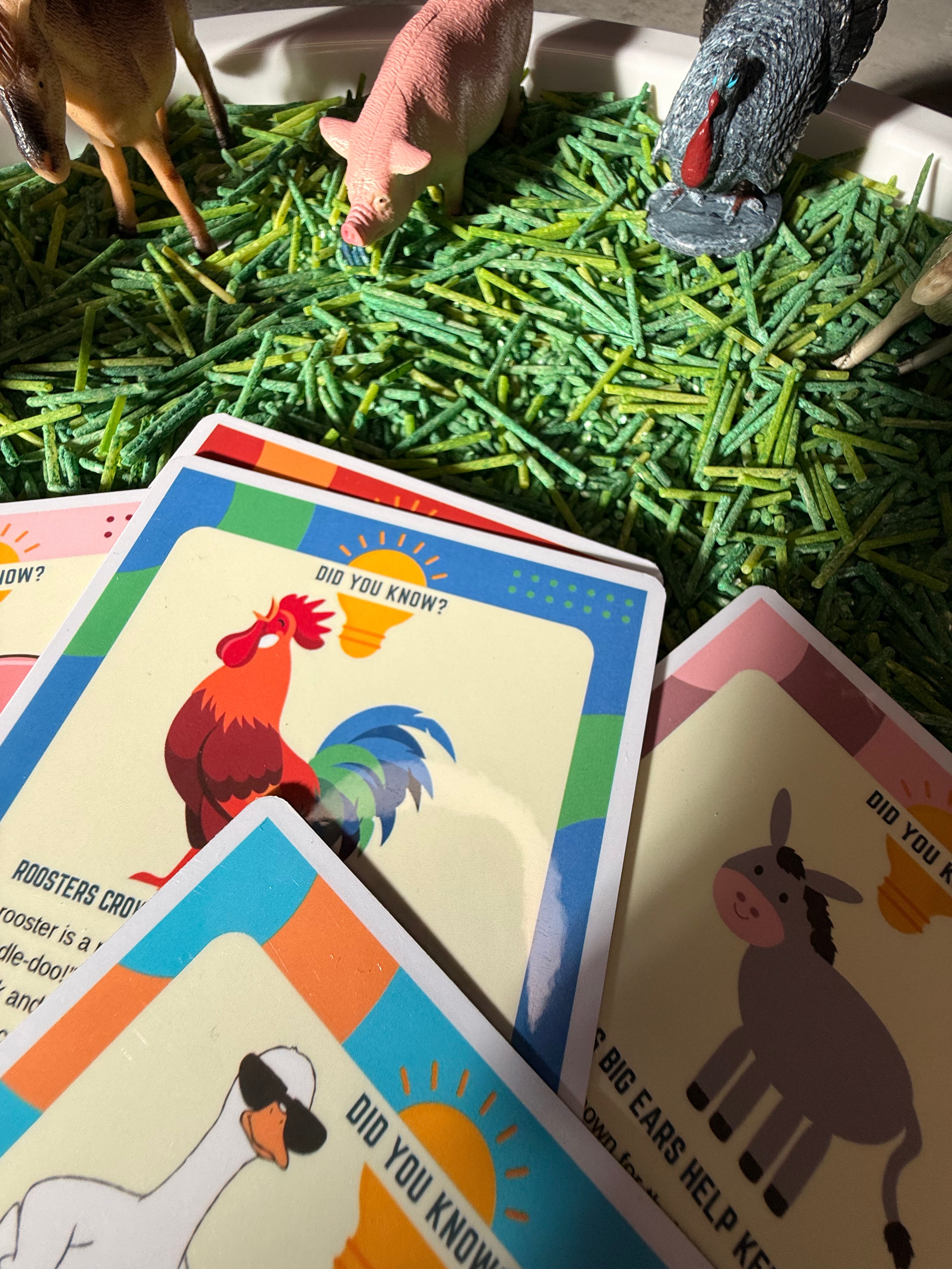 Farm & Animal Sensory Play Kit