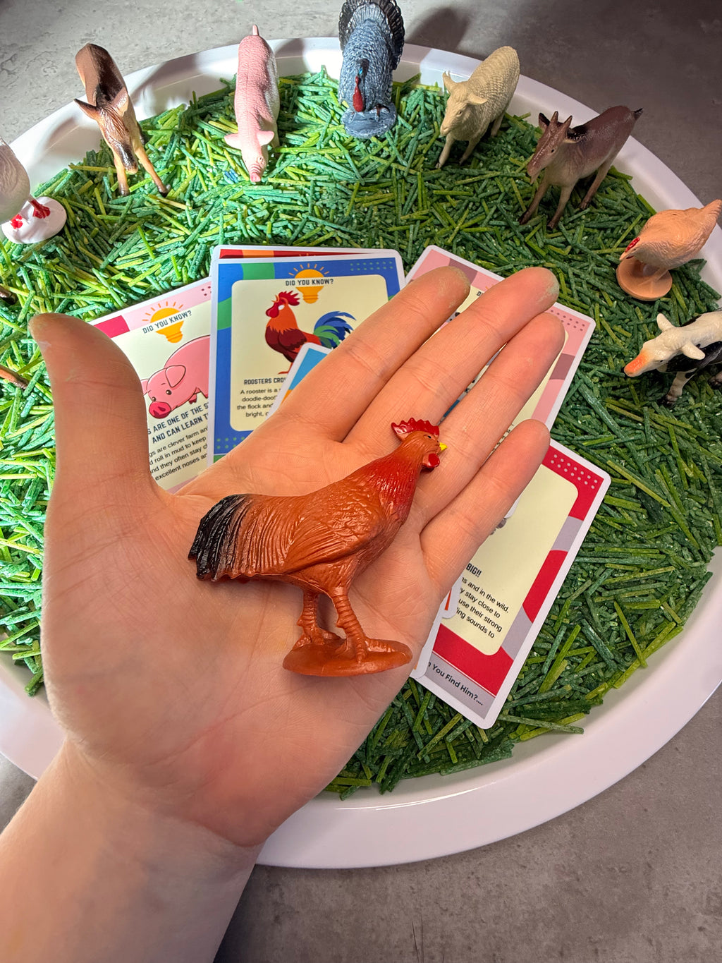 Farm & Animal Sensory Play Kit