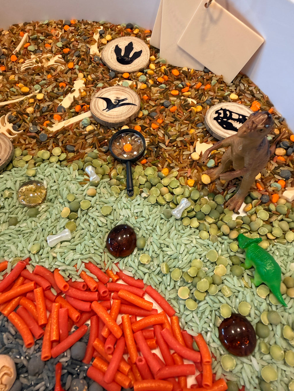 Dinosaur Sensory Play Kit