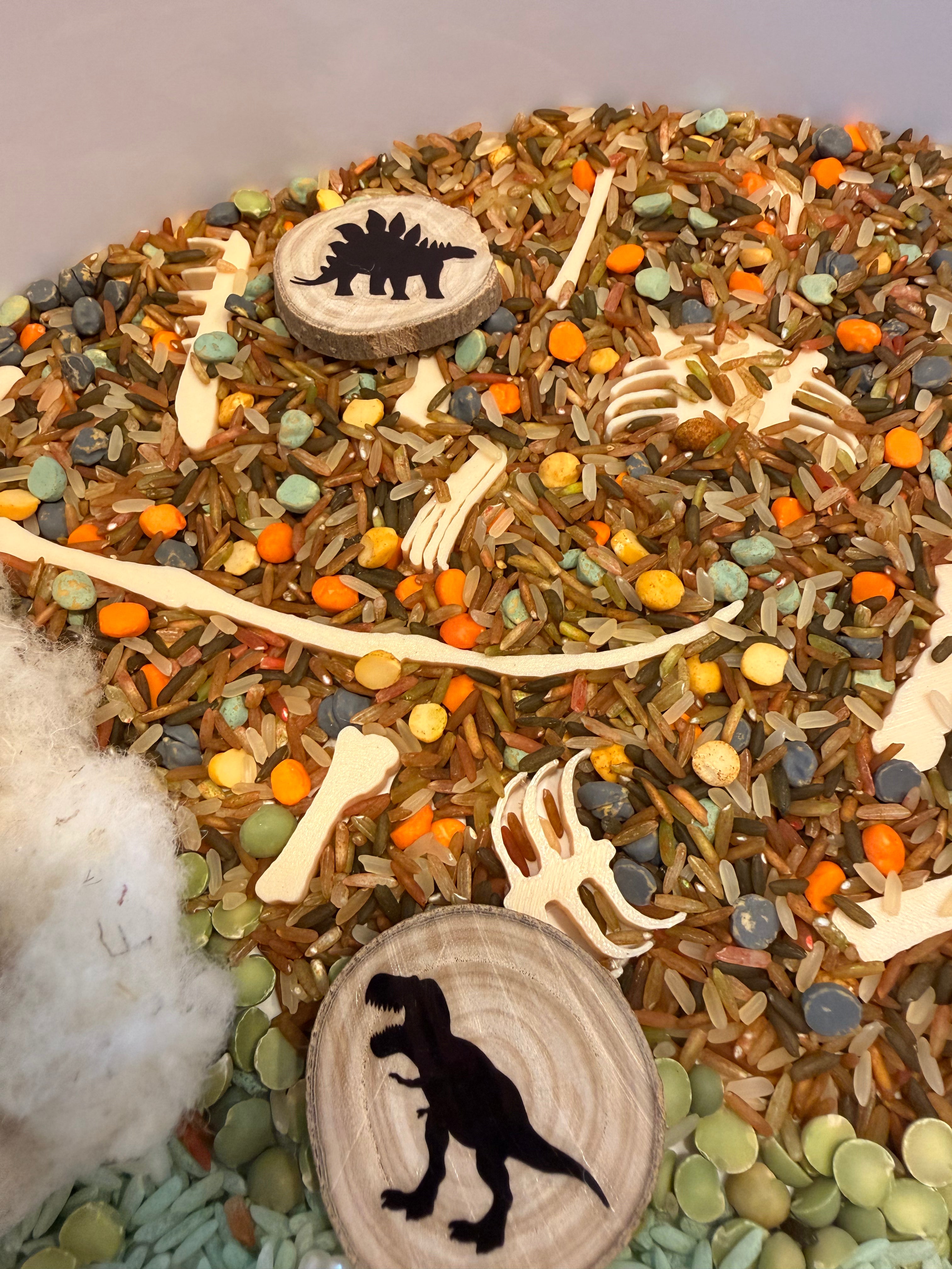 Dinosaur Sensory Play Kit